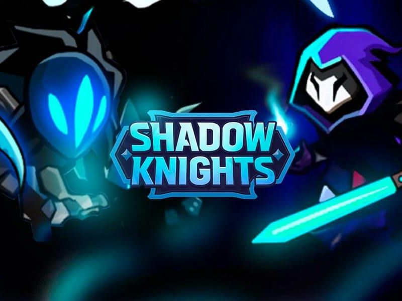 Giới Thiệu Chung Về Hack Shadow Knight