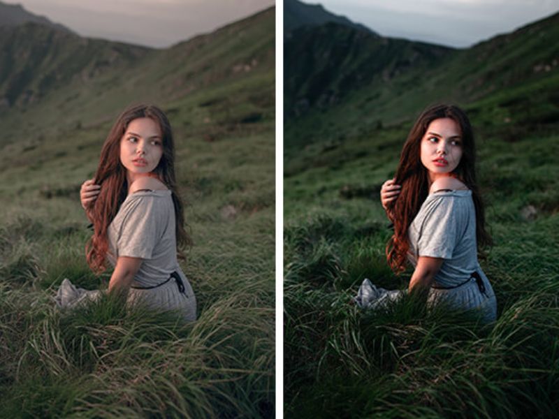 Tải Lightroom Mod APK (Mở Khóa Premium) v11.2.3 Bộ sưu tập ảnh đẹp của Lightroom Mod APK