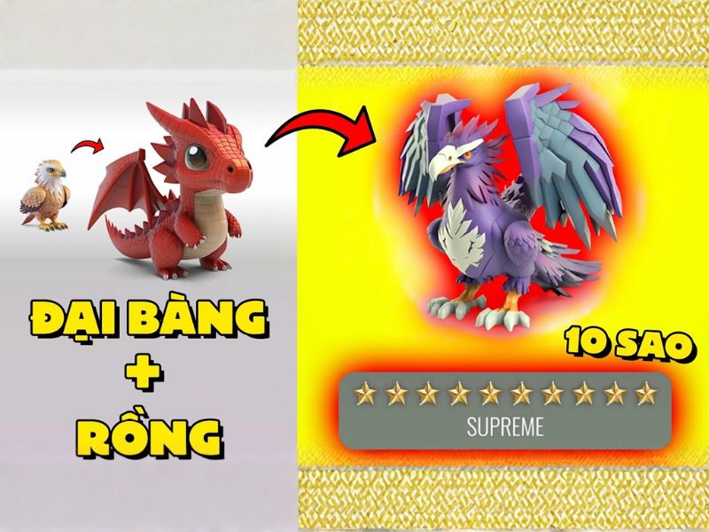 Nâng cấp cấp độ trong Hack Animash