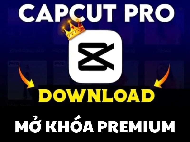 Mở Khóa Pro trong Capcut Pro Mod APK