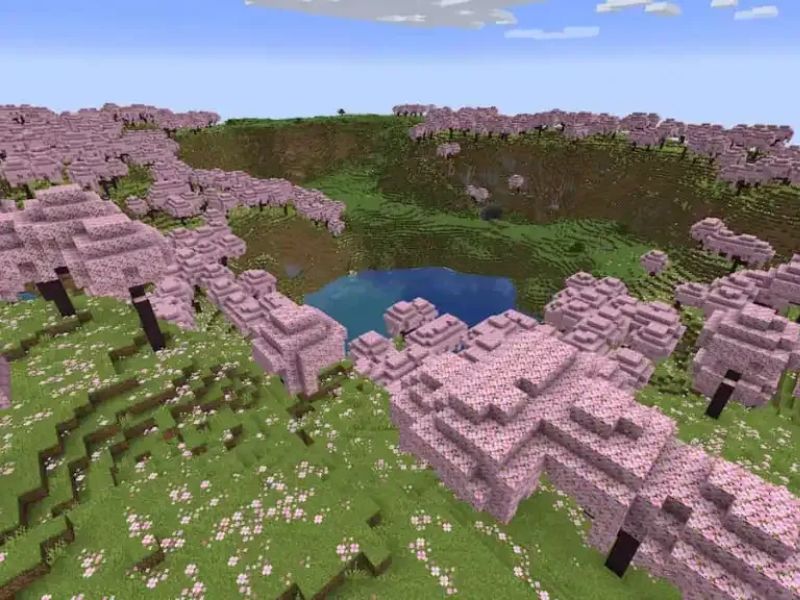 Rừng hoa anh đ&agrave;o l&atilde;ng mạn trong Minecraft 1.20 Tiếng Việt