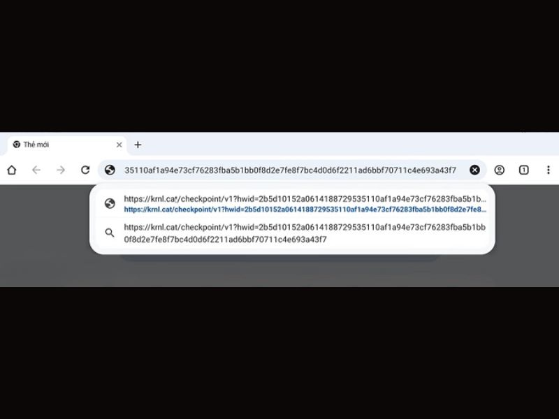 Tải Hack Krnl X ROBLOX (VNG + QT) v2.720 Mới Nhất Cho Android Dán đường link để truy cập đến web