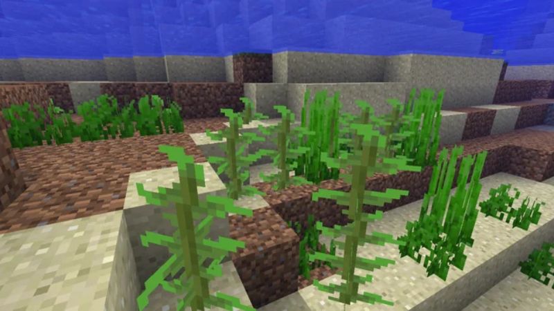 Đặt Kelp hoặc Seagrass l&ecirc;n h&agrave;ng r&agrave;o kh&aacute;c nhau trong Minecraft 1.21.30 APK Tiếng Việt