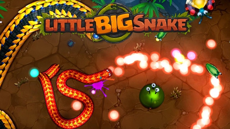 Giới Thiệu Tổng Quan Về Little Big Snake Hack