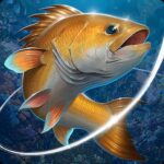 Tải Fishing Hook Hack (MOD Menu, Vô Hạn Tiền) v2.6.8