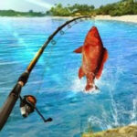 Tải Hack Fishing Clash (Vô Hạn Tiền, Tự Động Câu Cá) v1.0.508